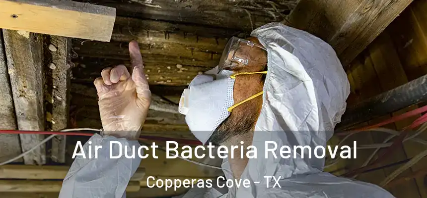  Air Duct Bacteria Removal Copperas Cove - TX