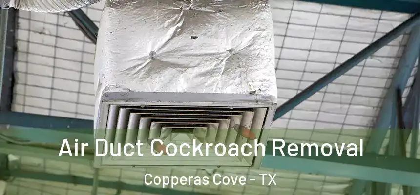 Air Duct Cockroach Removal Copperas Cove - TX