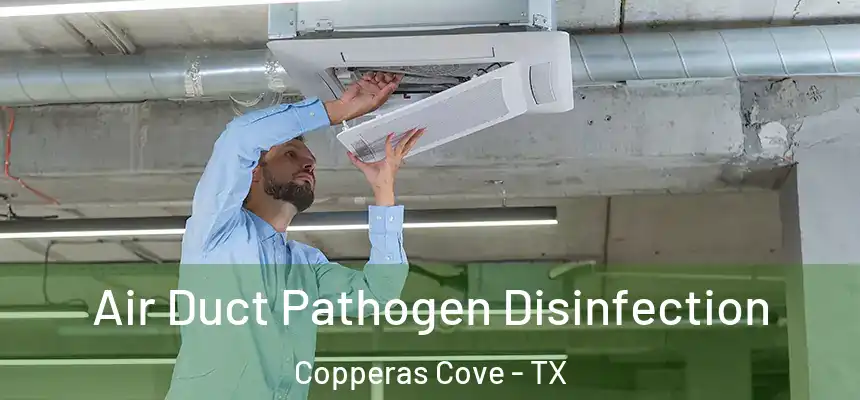  Air Duct Pathogen Disinfection Copperas Cove - TX