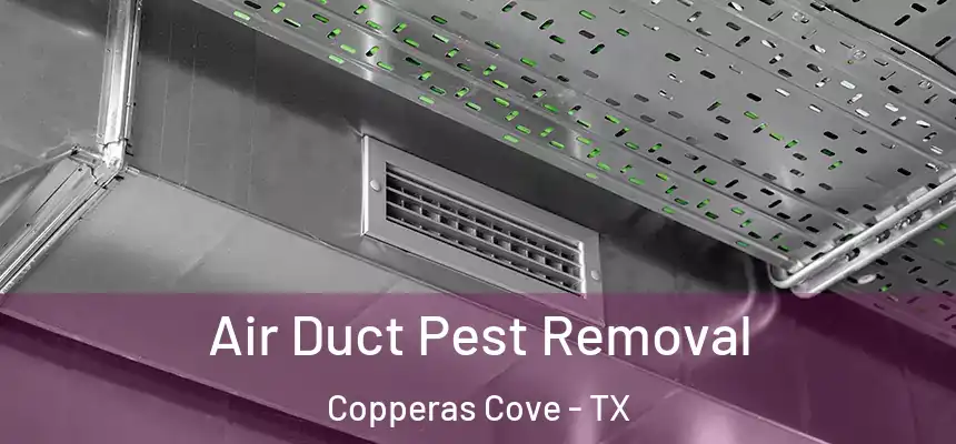 Air Duct Pest Removal Copperas Cove - TX