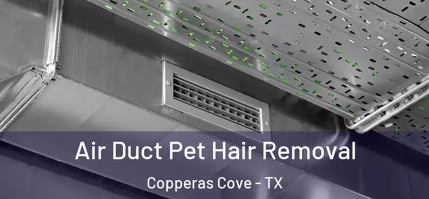 Air Duct Pet Hair Removal Copperas Cove - TX
