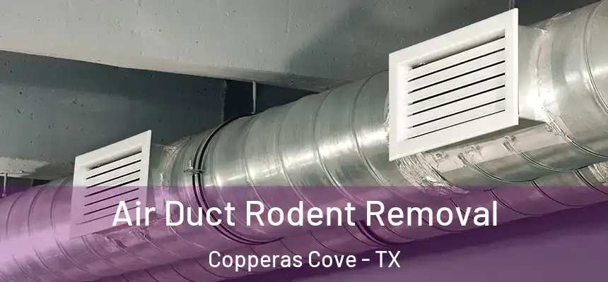  Air Duct Rodent Removal Copperas Cove - TX