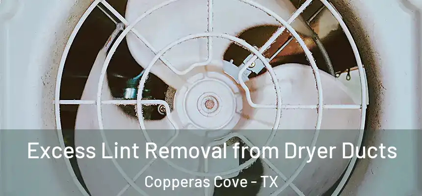 Excess Lint Removal from Dryer Ducts Copperas Cove - TX