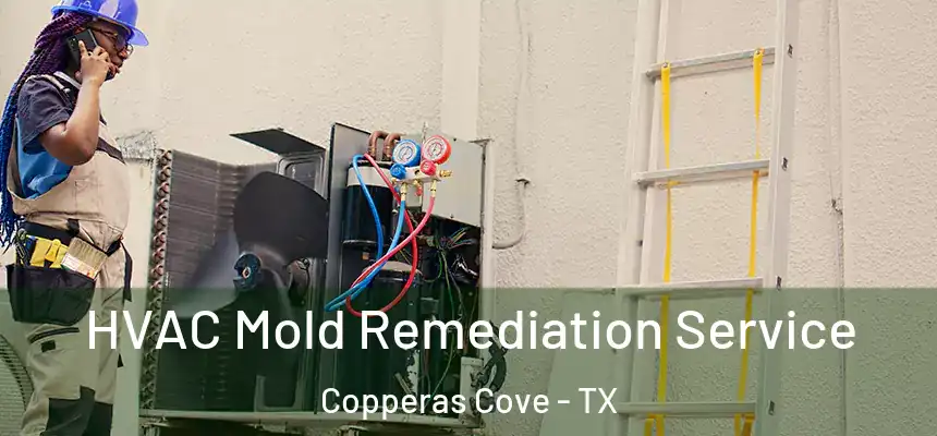 HVAC Mold Remediation Service Copperas Cove - TX