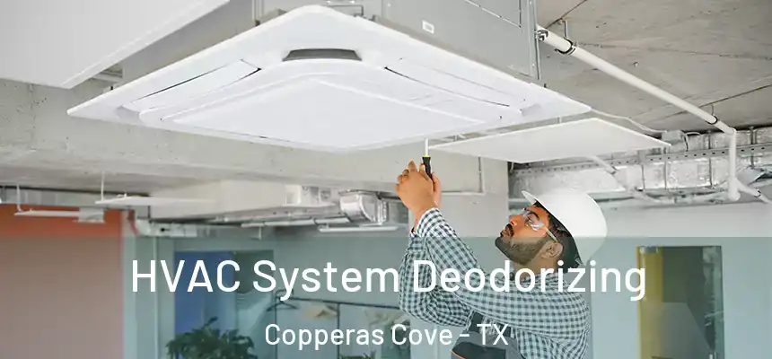 HVAC System Deodorizing Copperas Cove - TX