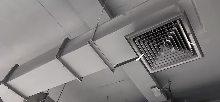 Our Pest Removal From Ducts Services in Copperas Cove, TX