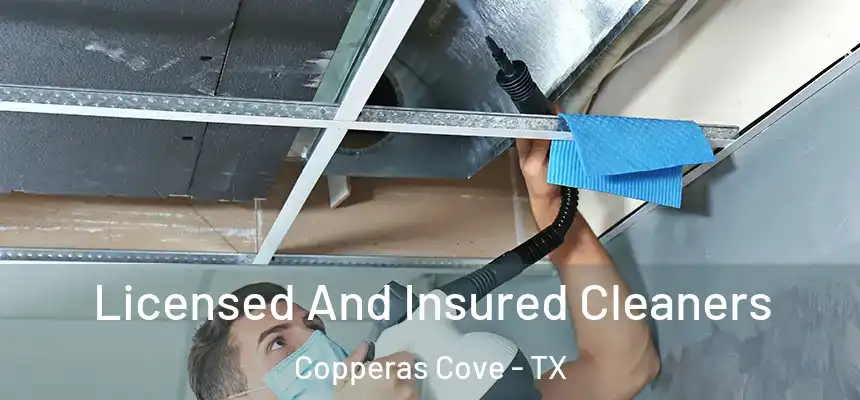  Licensed And Insured Cleaners Copperas Cove - TX
