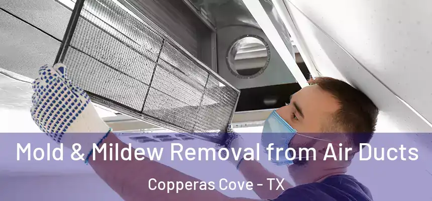  Mold & Mildew Removal from Air Ducts Copperas Cove - TX