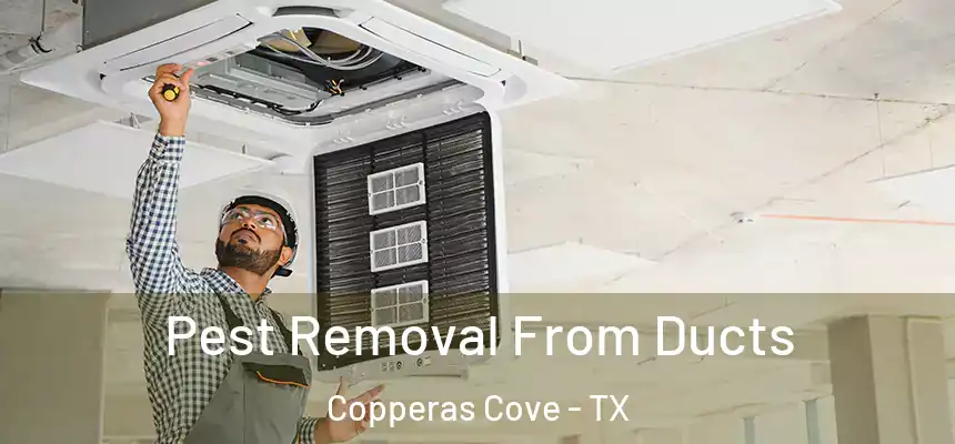  Pest Removal From Ducts Copperas Cove - TX