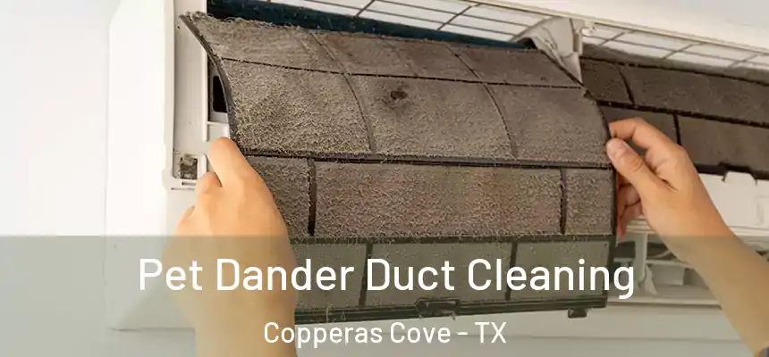  Pet Dander Duct Cleaning Copperas Cove - TX