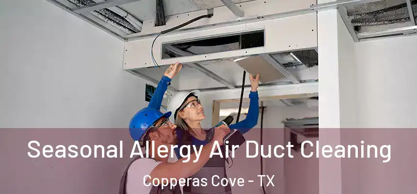 Seasonal Allergy Air Duct Cleaning Copperas Cove - TX