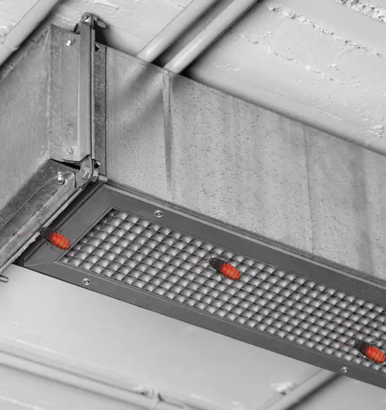 About Air Duct Cockroach Removal in Copperas Cove, TX
