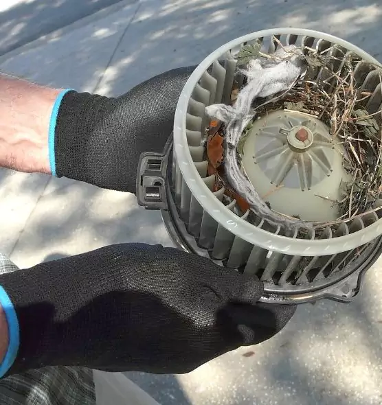 About Air Duct Rat Removal in Copperas Cove, TX