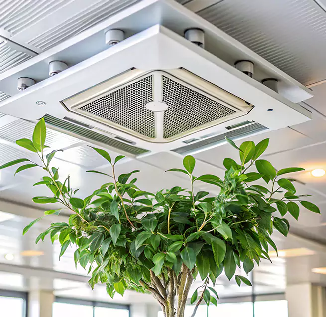 Why Homeowners & Businesses Trust Us in Copperas Cove, TX