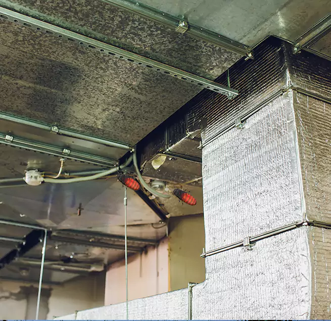 Why Homeowners & Businesses Trust Us Copperas Cove, TX?