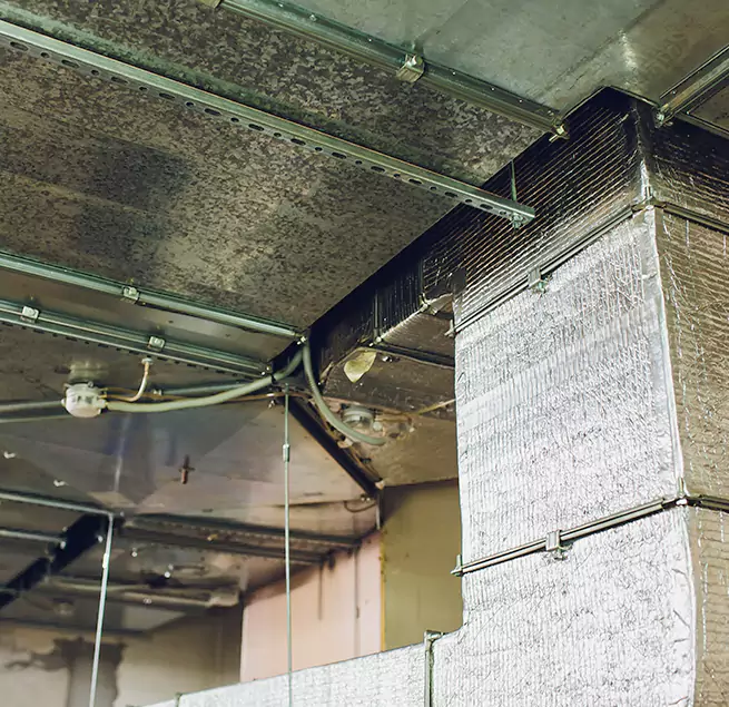 Why Homeowners & Businesses Trust Us in Copperas Cove, TX?